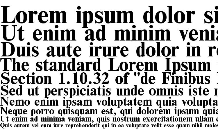 specimens Nwtb font, sample Nwtb font, an example of writing Nwtb font, review Nwtb font, preview Nwtb font, Nwtb font