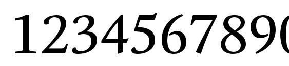 Octava Regular Font, Number Fonts