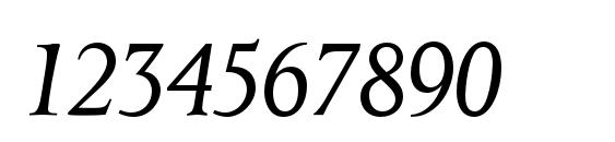 OctavianMTStd Italic Font, Number Fonts