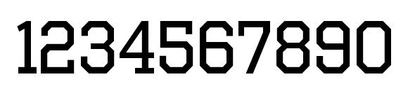 OctinSportsRg Regular Font, Number Fonts