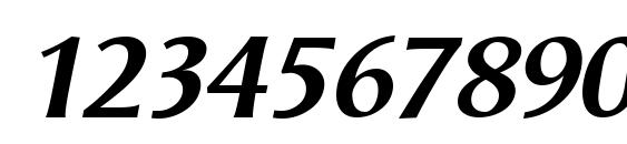 Odense BoldItalic Font, Number Fonts