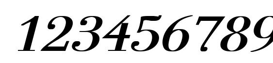 Ogilvy Bold Italic Font, Number Fonts