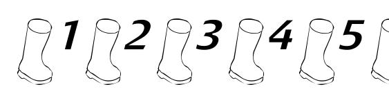 Oldbootslantedlight Font, Number Fonts