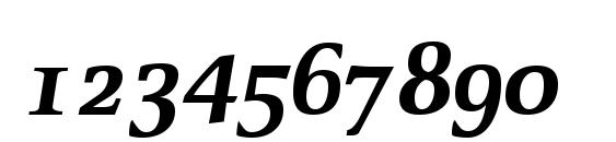 Oldstyle Bold Italic Font, Number Fonts