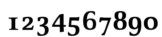 Oldstyle Bold Font, Number Fonts