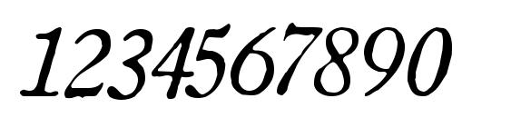 Oldstyle italic hplhs Font, Number Fonts