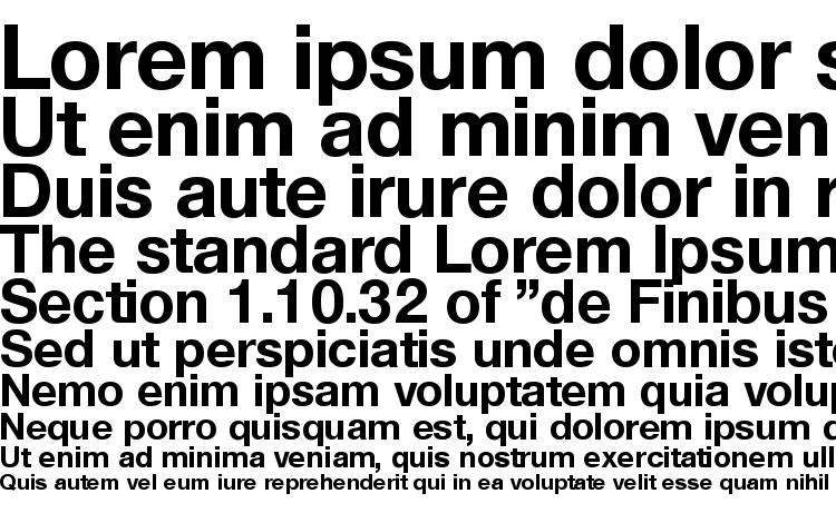 specimens Olnova bold font, sample Olnova bold font, an example of writing Olnova bold font, review Olnova bold font, preview Olnova bold font, Olnova bold font