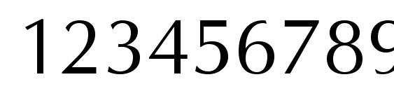 Omni regular Font, Number Fonts