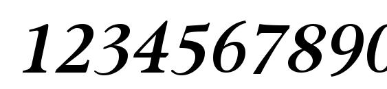 Omnibus SemiBold Italic Font, Number Fonts