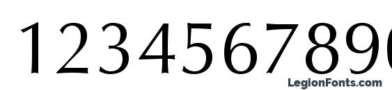 Optima LT Roman Font, Number Fonts