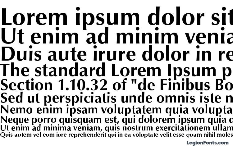specimens Opus Bold font, sample Opus Bold font, an example of writing Opus Bold font, review Opus Bold font, preview Opus Bold font, Opus Bold font
