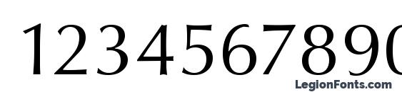 Opus Regular Font, Number Fonts