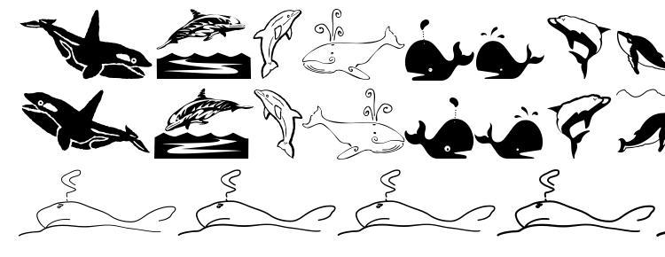 глифы шрифта Orcas, символы шрифта Orcas, символьная карта шрифта Orcas, предварительный просмотр шрифта Orcas, алфавит шрифта Orcas, шрифт Orcas