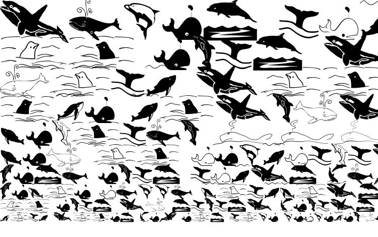 образцы шрифта Orcas, образец шрифта Orcas, пример написания шрифта Orcas, просмотр шрифта Orcas, предосмотр шрифта Orcas, шрифт Orcas