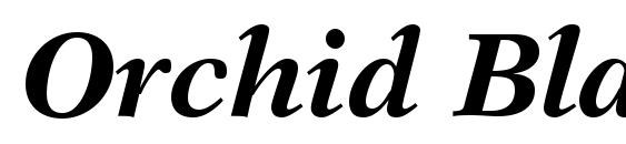 Orchid Black SSi Bold Italic Font