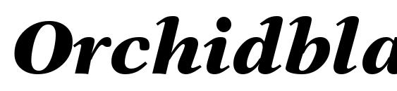 Шрифт Orchidblackssk bold italic