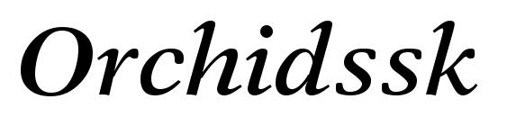 Orchidssk bold italic Font