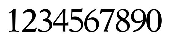 Orchidssk regular Font, Number Fonts