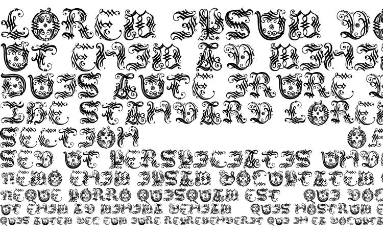 specimens Ornamentalinitial font, sample Ornamentalinitial font, an example of writing Ornamentalinitial font, review Ornamentalinitial font, preview Ornamentalinitial font, Ornamentalinitial font