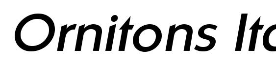 Ornitons Italic font, free Ornitons Italic font, preview Ornitons Italic font