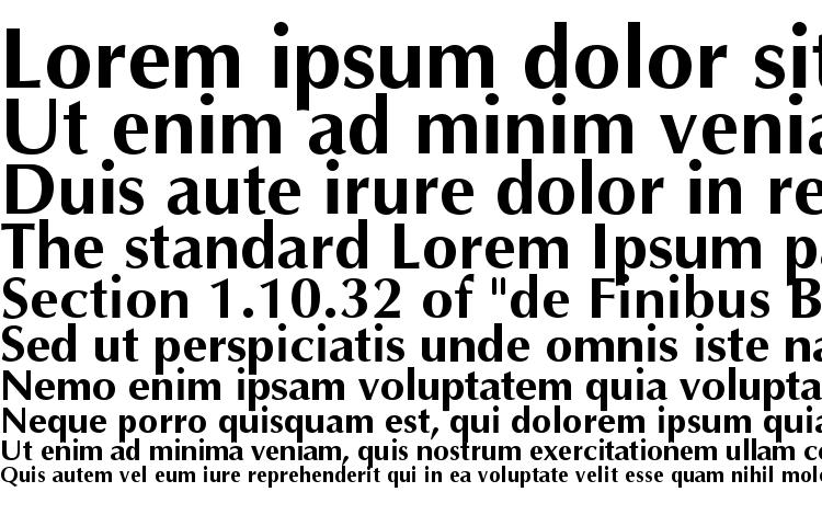 specimens Ottawa Bold font, sample Ottawa Bold font, an example of writing Ottawa Bold font, review Ottawa Bold font, preview Ottawa Bold font, Ottawa Bold font