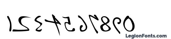 P22 Da Vinci Backwards Font, Number Fonts