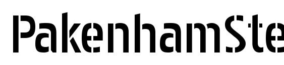 шрифт PakenhamStencil Regular, бесплатный шрифт PakenhamStencil Regular, предварительный просмотр шрифта PakenhamStencil Regular
