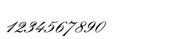 Palace Script MT Semi Bold Font, Number Fonts