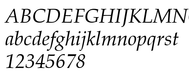 глифы шрифта Palacio Normal Italic, символы шрифта Palacio Normal Italic, символьная карта шрифта Palacio Normal Italic, предварительный просмотр шрифта Palacio Normal Italic, алфавит шрифта Palacio Normal Italic, шрифт Palacio Normal Italic