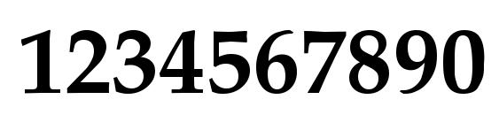 Palatia Bold Font, Number Fonts