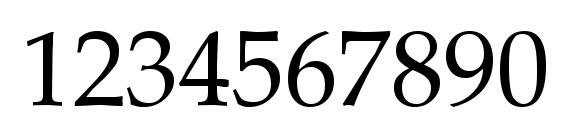Palatia Regular Font, Number Fonts
