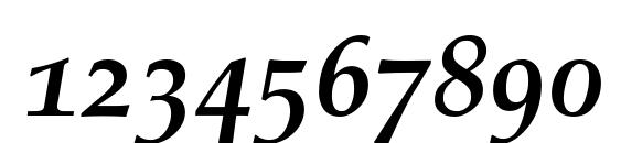 Palatino Bold Italic Old Style Figures Font, Number Fonts