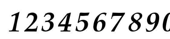 Palatino Bold Italic Font, Number Fonts