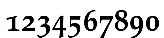 Palatino Bold Old Style Figures Font, Number Fonts