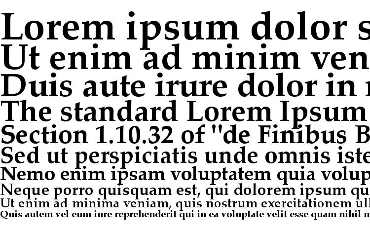 specimens Palatino CE Bold font, sample Palatino CE Bold font, an example of writing Palatino CE Bold font, review Palatino CE Bold font, preview Palatino CE Bold font, Palatino CE Bold font