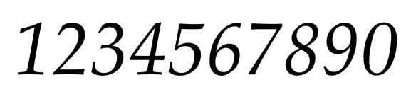 Palatino CE Italic Font, Number Fonts