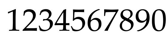 Palatino CE Regular Font, Number Fonts