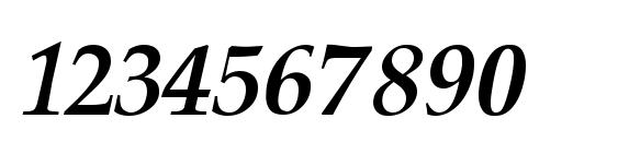 Palatino Cyrillic Bold Italic Font, Number Fonts