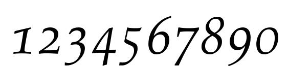 Palatino Italic Old Style Figures Font, Number Fonts