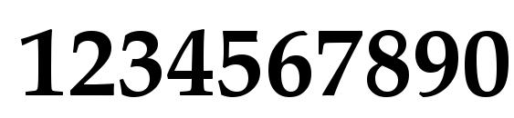 Palatino Linotype Полужирный Font, Number Fonts