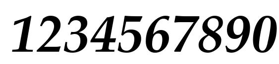 Palatino LT Bold Italic Font, Number Fonts