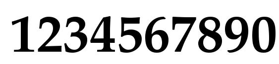 Palatino LT Bold Font, Number Fonts