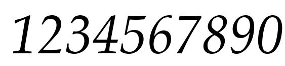 Palatino LT Italic Font, Number Fonts