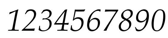 Palatino LT Light Italic Font, Number Fonts