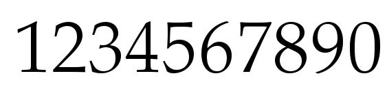 Palatino LT Light Font, Number Fonts