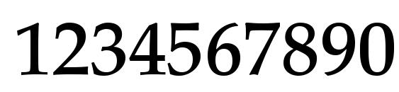 Palatino LT Medium Font, Number Fonts