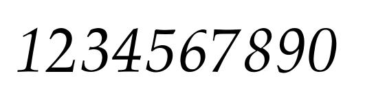 Palatino Normal Italic Font, Number Fonts