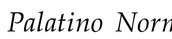 Palatino Normal Italic Font