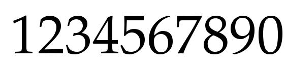 Palatino Roman Font, Number Fonts