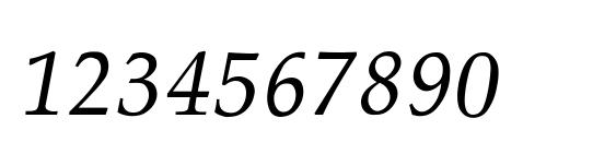 Palatino Thin Italic Font, Number Fonts